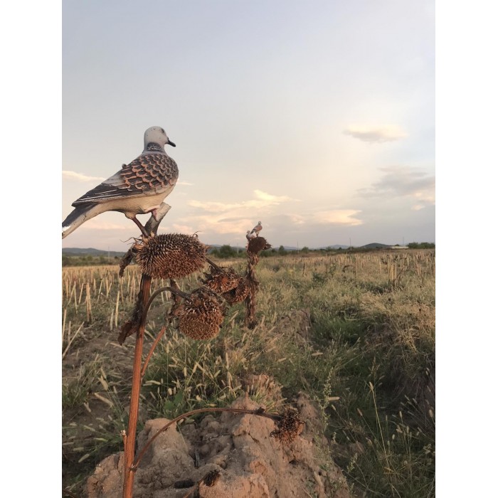 Мюре за гургулица – комплект от 4 броя