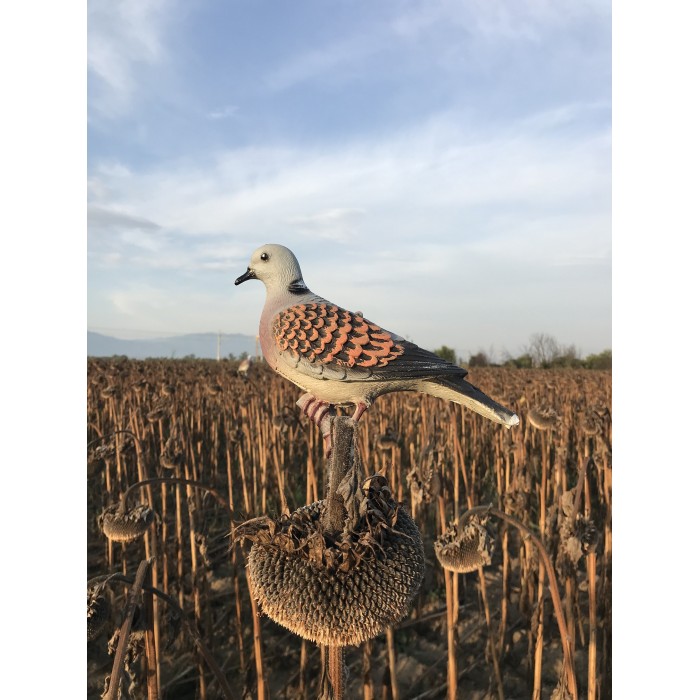 Мюре за гургулица – комплект от 4 броя